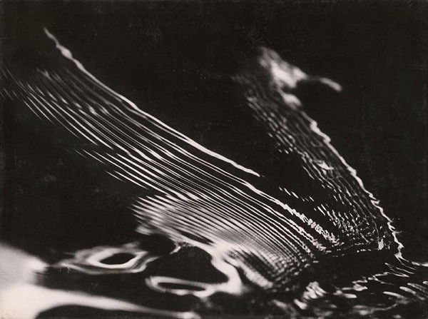 Martin Martinček – Labuť 