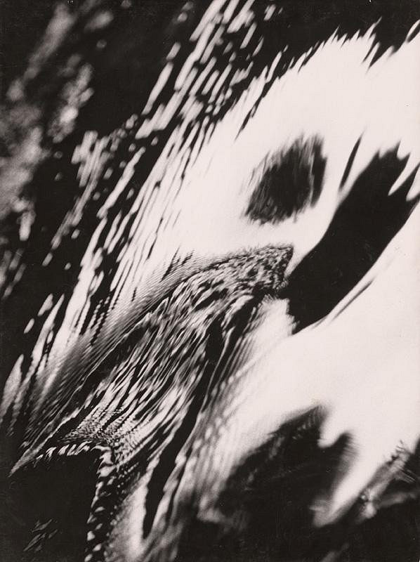 Martin Martinček – Nočný motýľ 