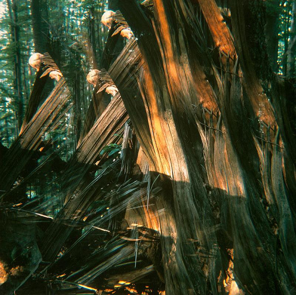 Martin Martinček – Hora IV. 