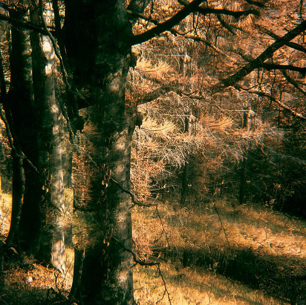 Martin Martinček – Hora V. 