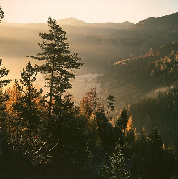 Martin Martinček – Hora VII.