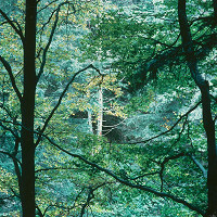 Martin Martinček – Hora VIII. 