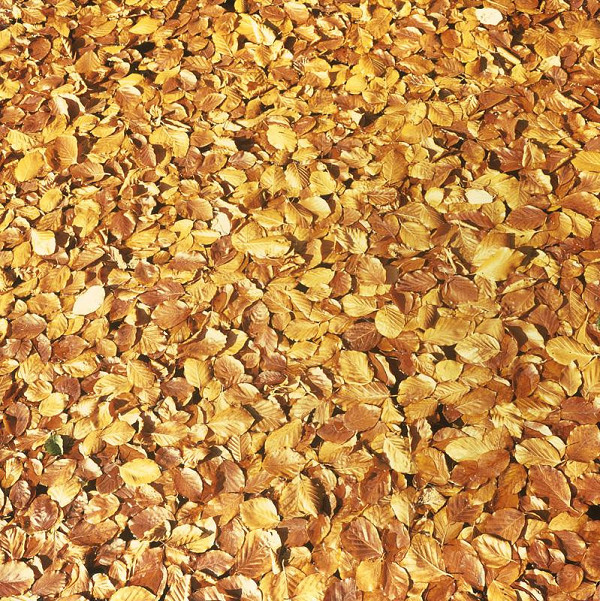 Martin Martinček – Hora XII. 