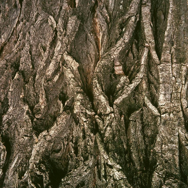 Martin Martinček – Hora XIV. 