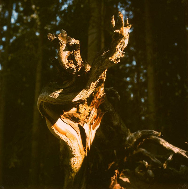 Martin Martinček – Farby z hôr I. 