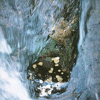 Martin Martinček – Chvála vody III. 