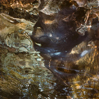 Martin Martinček – Chvála vody VI. 