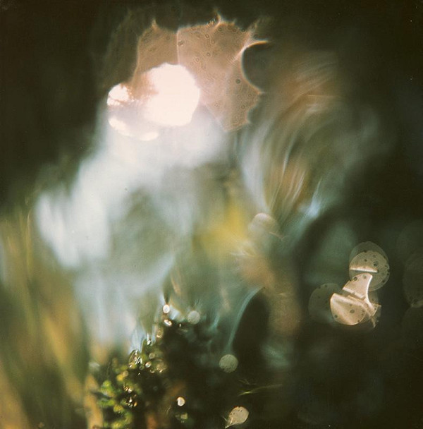 Martin Martinček – Chvála slnka V. 