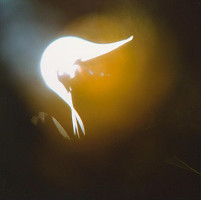 Martin Martinček – Chvála slnka VIII. 