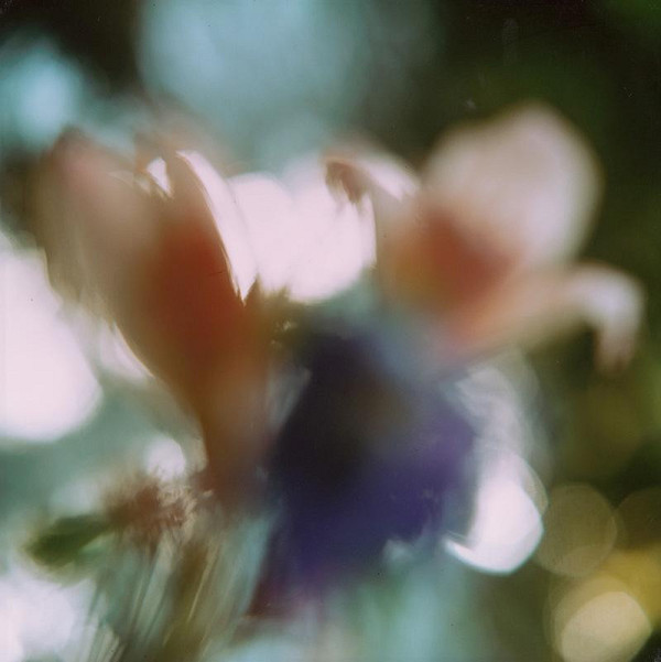 Martin Martinček – Rozkvitnutý deň III. 