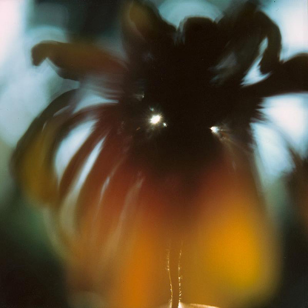 Martin Martinček – Rozkvitnutý deň VI. 