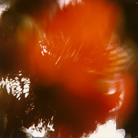 Martin Martinček – Rozkvitnutý deň IX. 