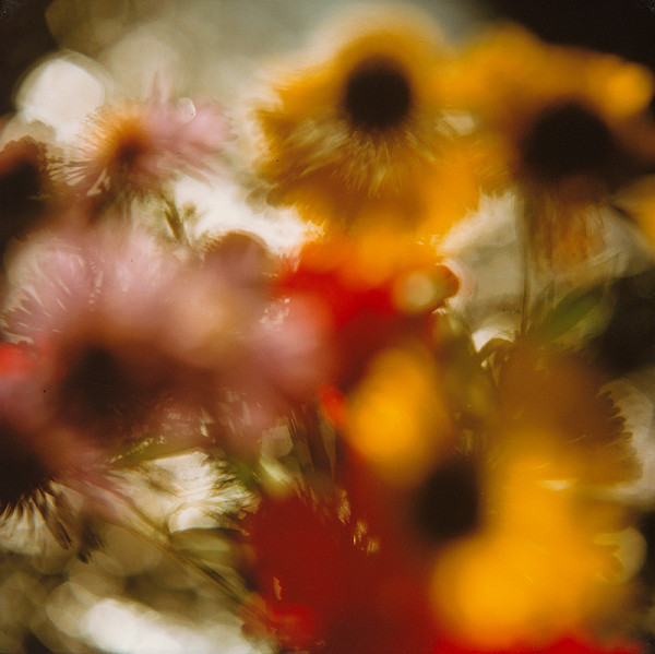 Martin Martinček – Rozkvitnutý deň X. 