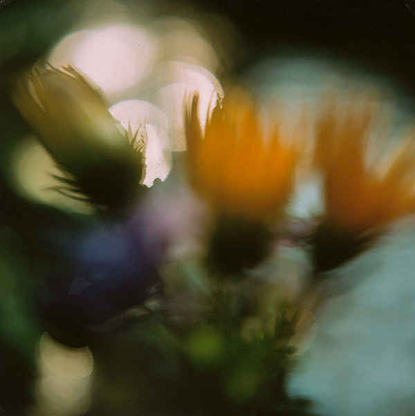 Martin Martinček – Rozkvitnutý deň XI. 