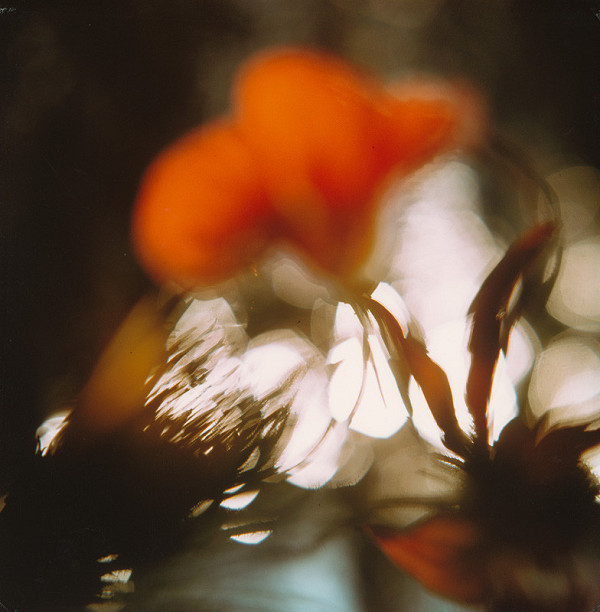 Martin Martinček – Rozkvitnutý deň XII. 