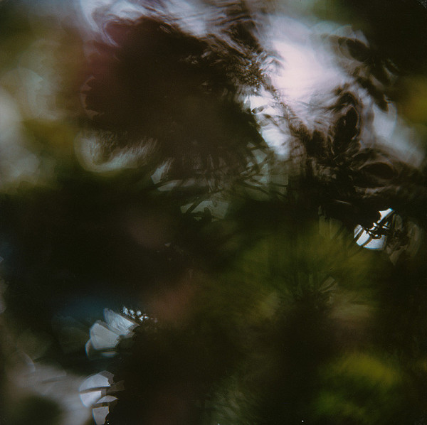 Martin Martinček – Rozkvitnutý deň XIV. 