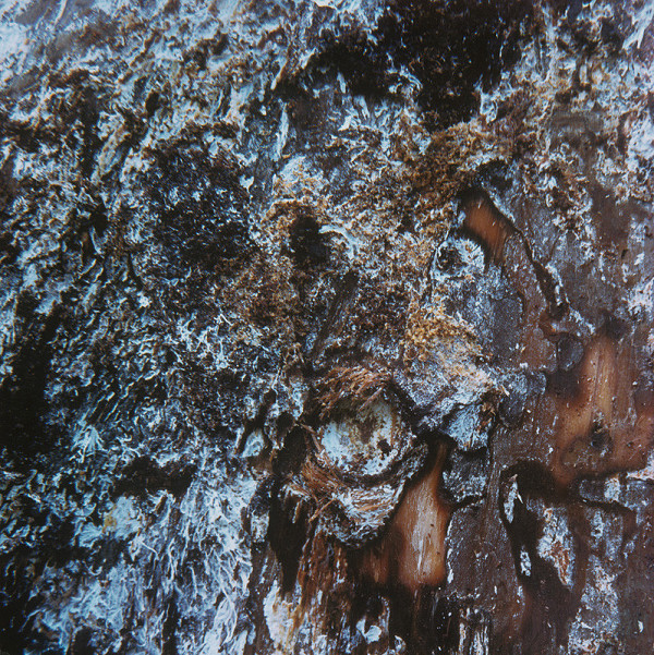 Martin Martinček – Umenie umierajúcich stromov III.