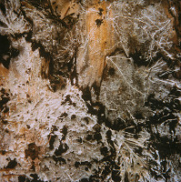 Martin Martinček – Umenie umierajúcich stromov IX. 