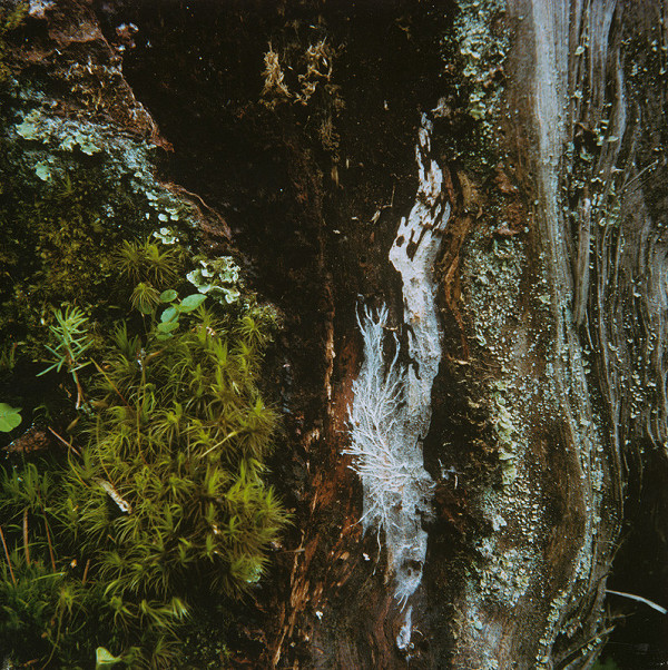 Martin Martinček – Tajomstvo hory IV. 