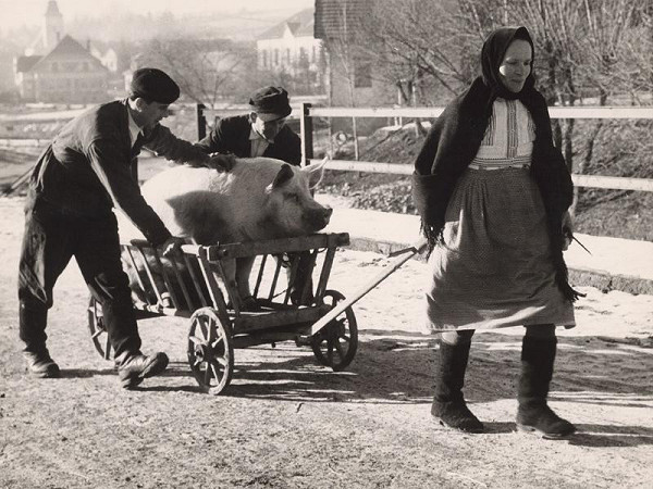 Martin Martinček – Pred zakáľačkou 