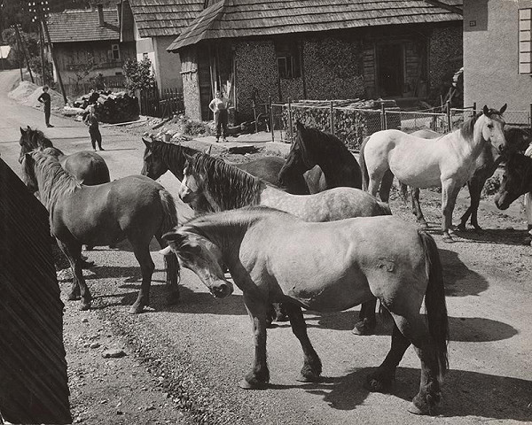 Martin Martinček – Návrat z horskej paše 
