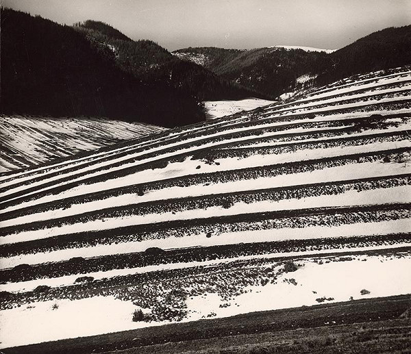 Martin Martinček – Polia na konci zimy 