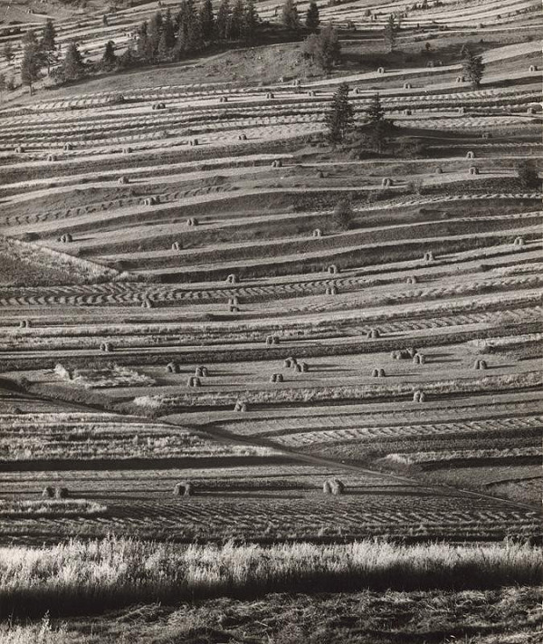 Martin Martinček – Po žatve III. 