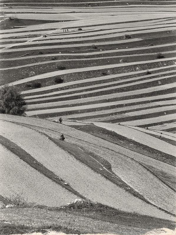 Martin Martinček – Orba I. 