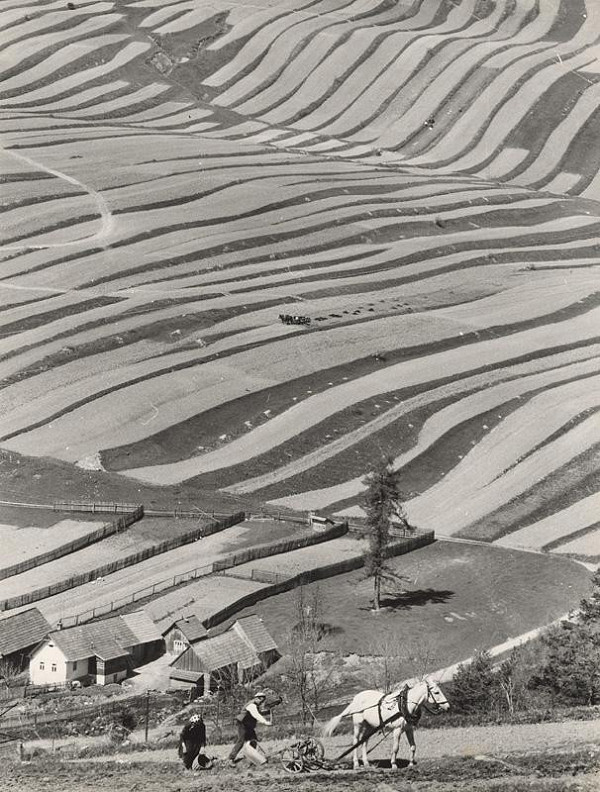 Martin Martinček – Orba III. 