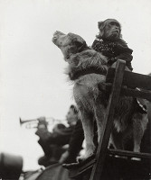 Tibor Honty – Z Matějské pouti 