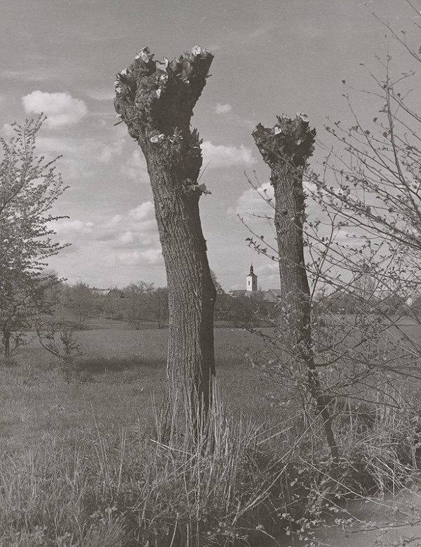 Ján Náhlik – Krajina 