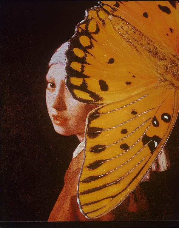 Ľuba Lauffová – Z cyklu Motýle I. 