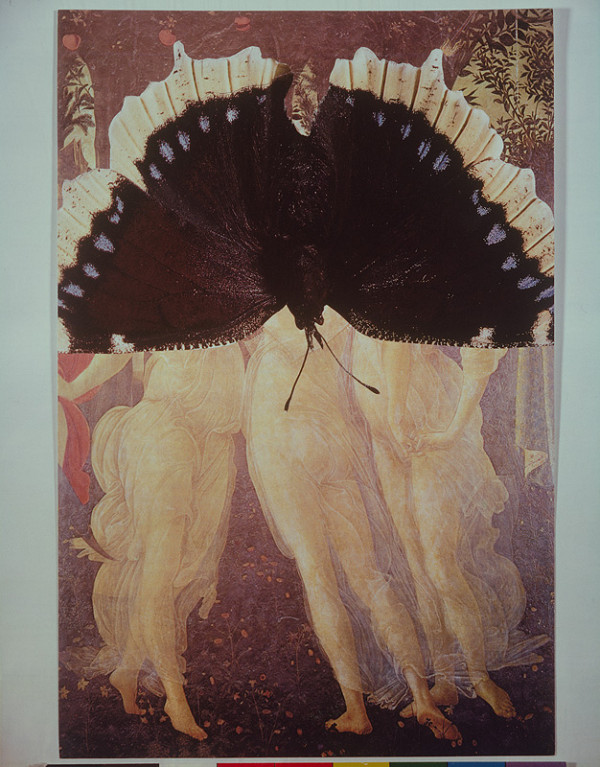 Ľuba Lauffová – Z cyklu Motýle II. 