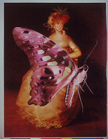 Ľuba Lauffová – Z cyklu Motýle III. 