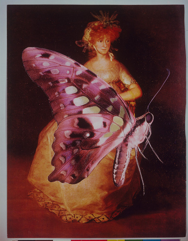 Ľuba Lauffová – Z cyklu Motýle III. 