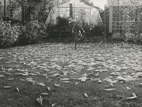 Pavol Breier st. – Bez názvu (Záhrada) 