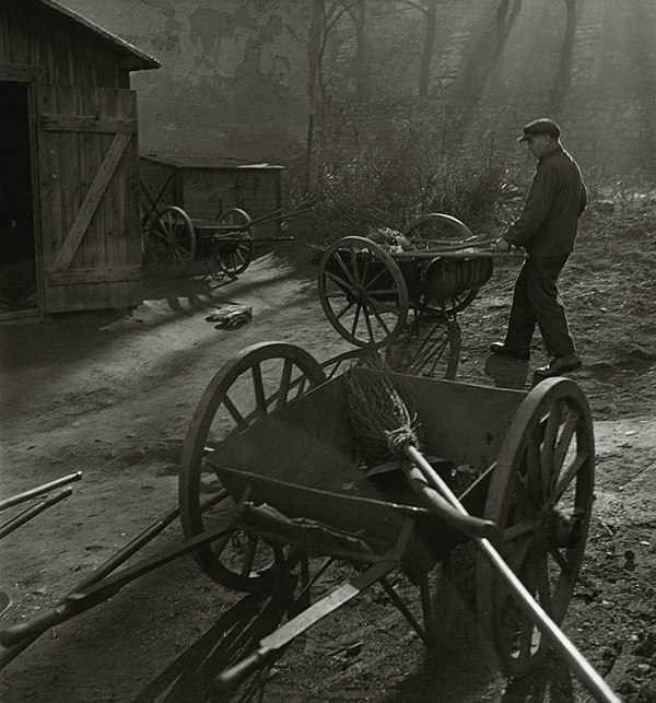 Alexander Strelinger – Smetiari 