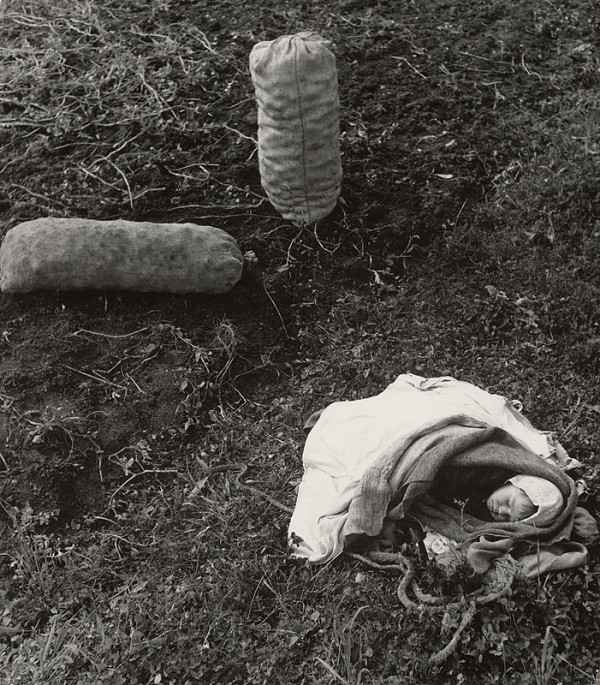 Karol Kállay – Zemiaky