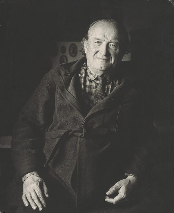 Magdaléna Robinsonová – Janko Alexy. Portrét 