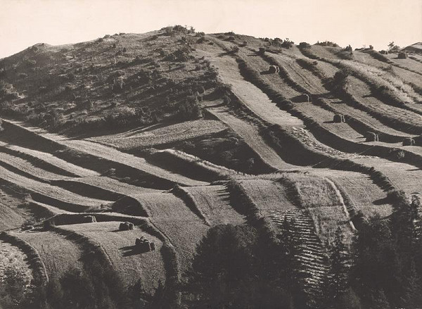 Martin Martinček – Práca stvárňuje zem I. 