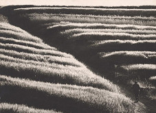 Martin Martinček – Práca stvárňuje zem II. 