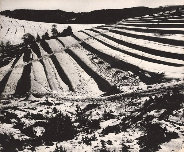 Martin Martinček – Práca stvárňuje zem V. 