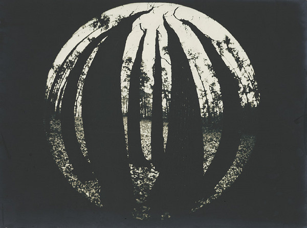 Zuzana Mináčová – Stretnutie priateľov v septembri 