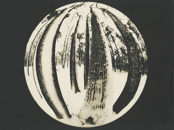 Zuzana Mináčová – Stretnutie priateľov v decembri 