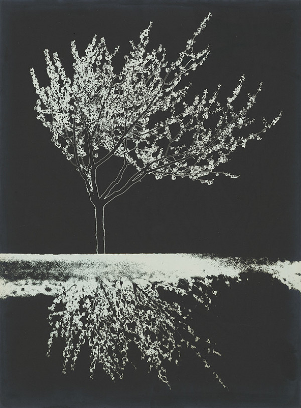 Zuzana Mináčová – Rodina - Bláznivá teta 