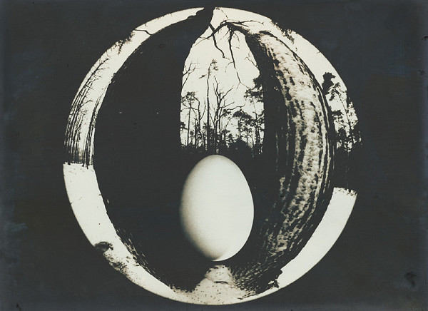 Zuzana Mináčová – Zastavenie na ceste IV. 