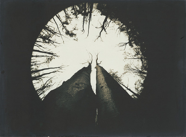 Zuzana Mináčová – Spolu sme stlstli 