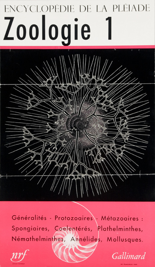 Francúzsky autor – Zoológia 1 