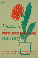 Alexander Beran – Výstava. Pěstujeme pokojové rostliny 