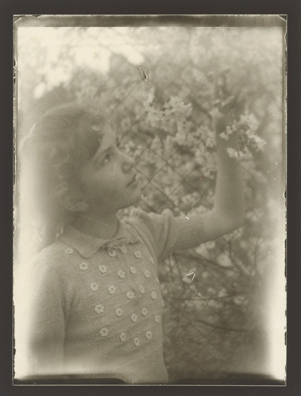 Marie Zavadilová – Kveta 